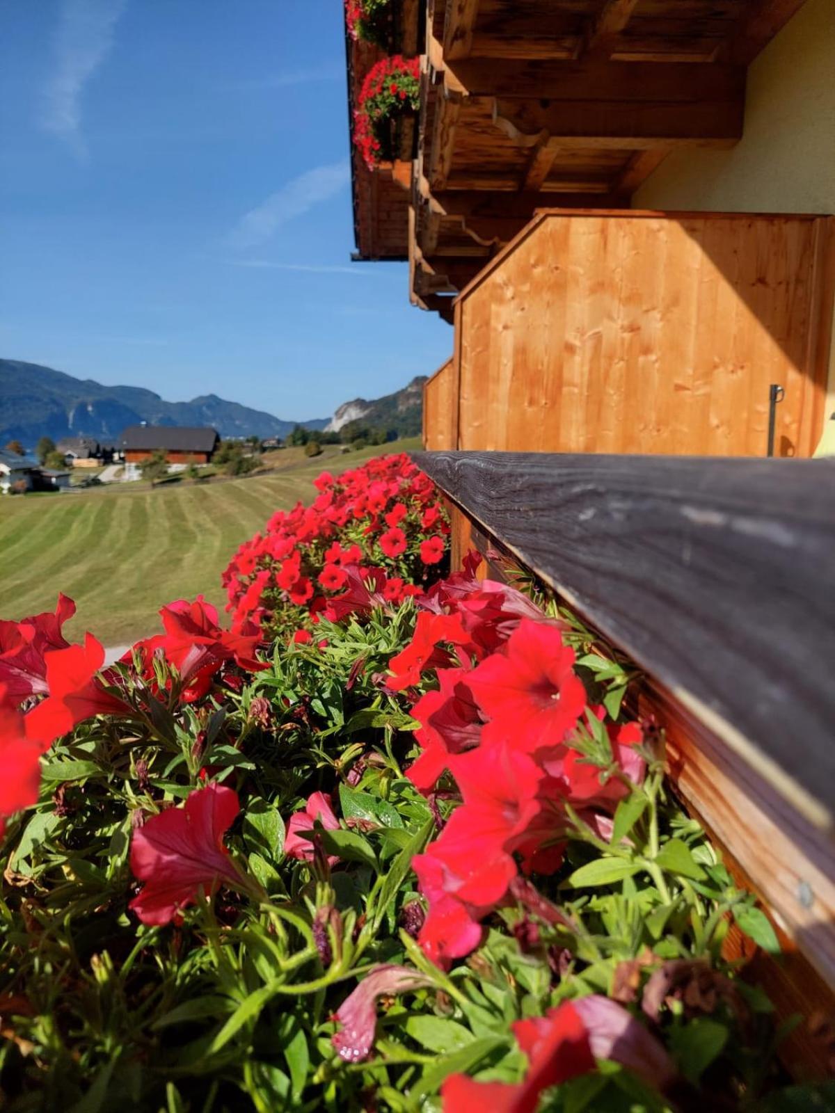 Haus Hoedlmoser Sankt Wolfgang im Salzkammergut Exterior foto